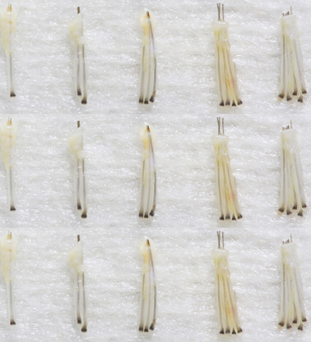 GraftvsHair Graft vs Hair: Grafts containing 1-5 hair follicles